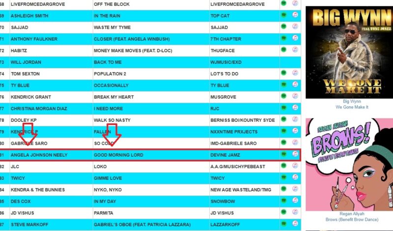 National Radio Airplay